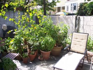 6568_1089729605378_1290602588_30265564_4470214_n