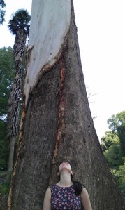 Emma Stone - "Traveling Fundi"