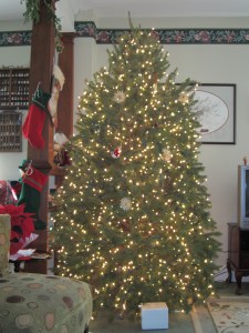 Waterloo - where I learned that a proper Christmas tree has about 3000 lights, has a light on the tip of every branch, and takes about 8 hours to do!