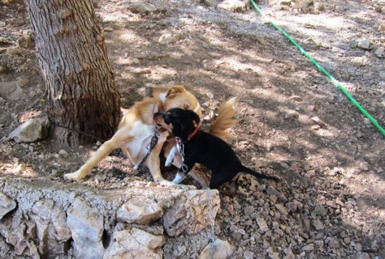 ???????????????????????????????