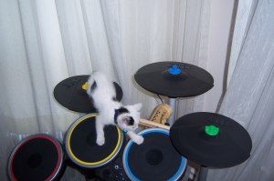 1094487_10200782079216238_649252746_o