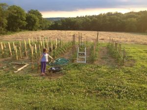 My Sister's Summer Garden with my great-niece