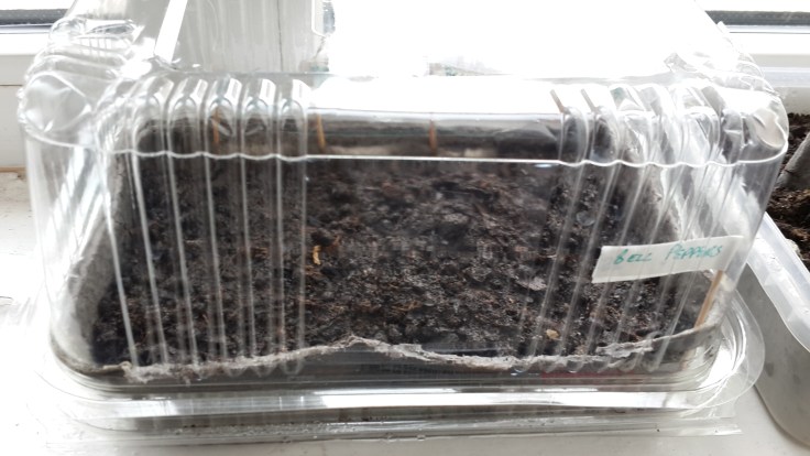 Recycling for a Green House Effect