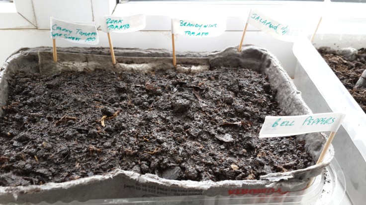 Tomato and Pepper Seeds