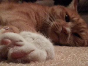 1277846_10201904234029018_1875717640_o