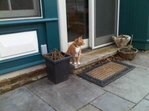 IMG00009-20100123-1656