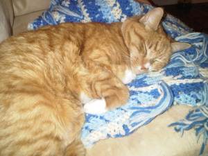 IMG00015-20100129-0018