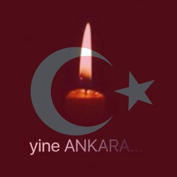 12821398_10206558841391682_7980220825816805742_n