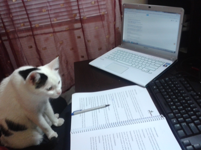 [024379]_1 (640x480)