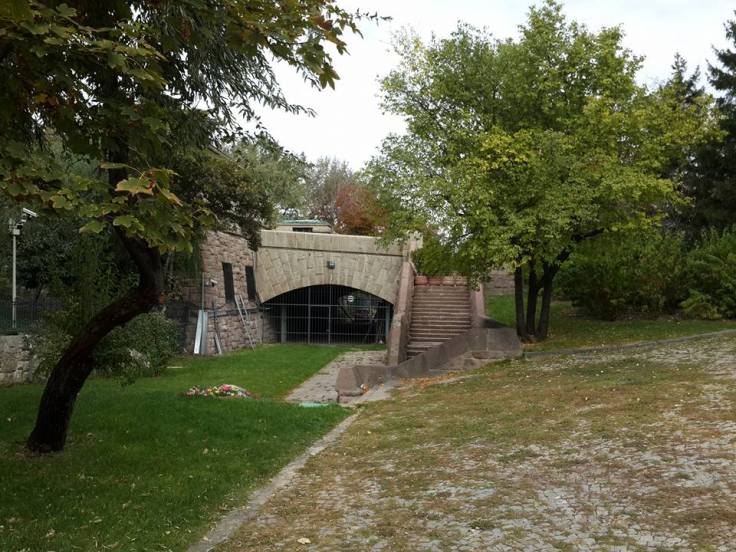 14650443_10208170133272972_7038823372281602311_n