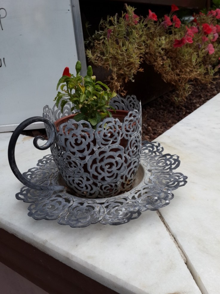 20161018_114524-768x1024