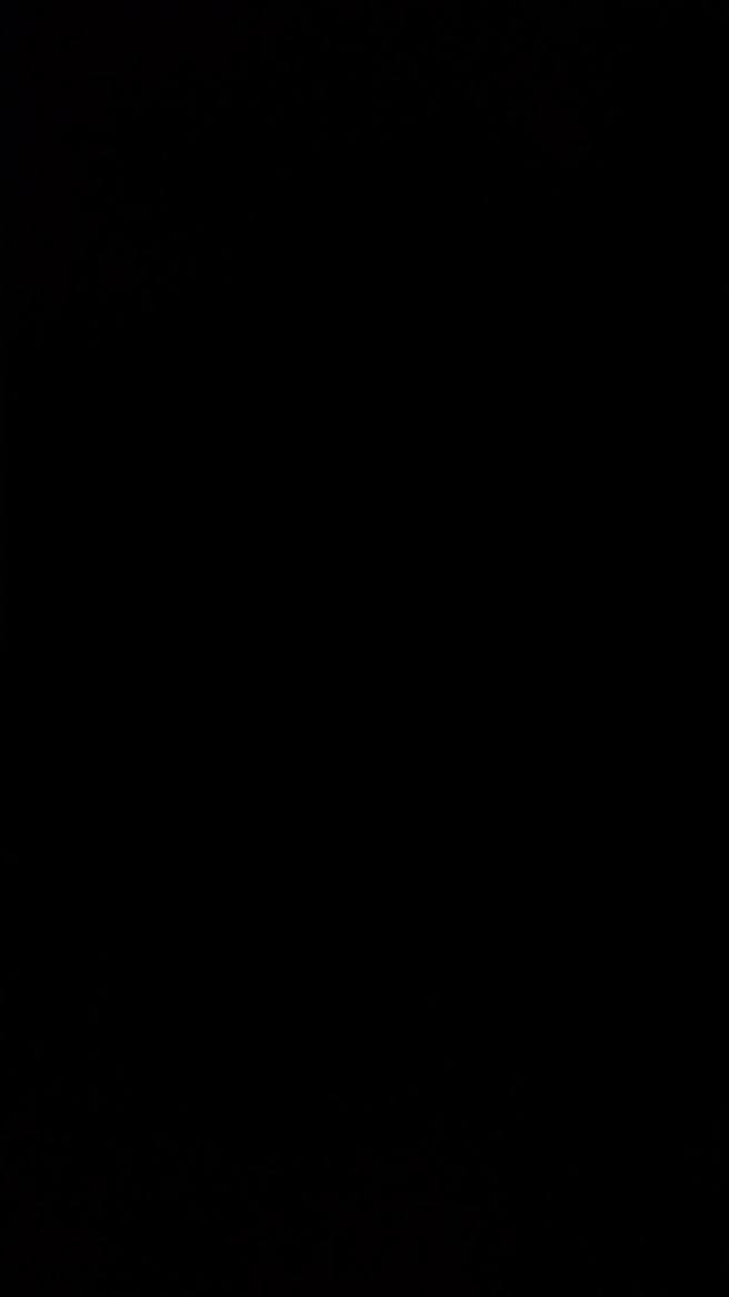 14991312_10209885760772282_9019337634225058305_o